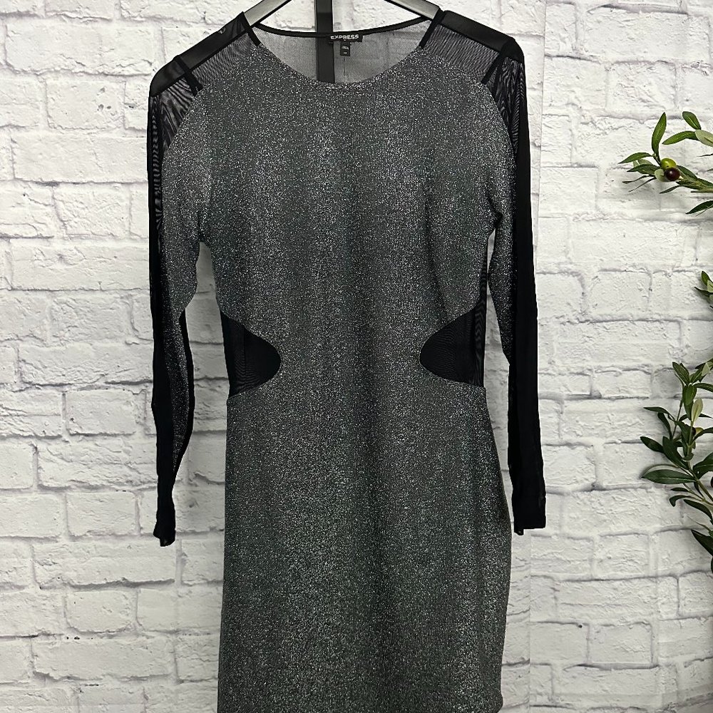 Express Sheer Shimmer Dress - NWT